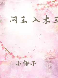 网王 入木三分