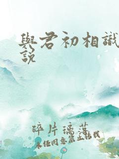 与君初相识 小说