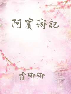 阿宾游记