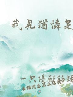 我见犹怜是盟主