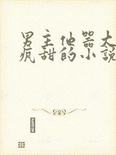 男主他器大活好疯甜的小说