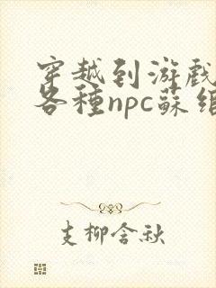 穿越到游戏里和各种npc苏绾