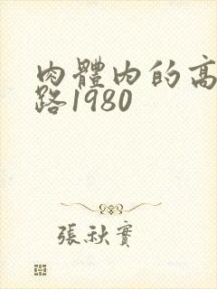 肉体内的高速公路1980