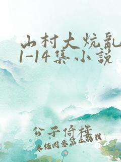 山村大炕乱肉续1-14集小说