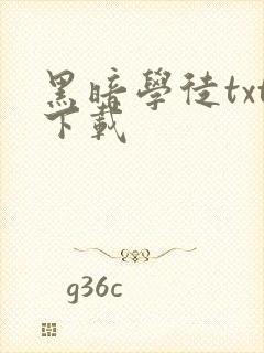 黑暗学徒txt下载