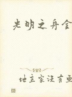 光明之舟金手指