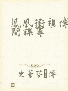 凤凰卫视傅晓甜间谍罪