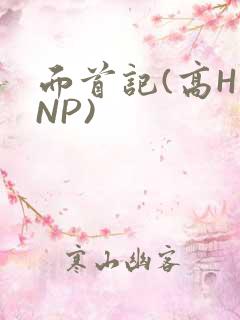 面首记(高H NP)