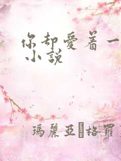 你却爱着一个他 小说