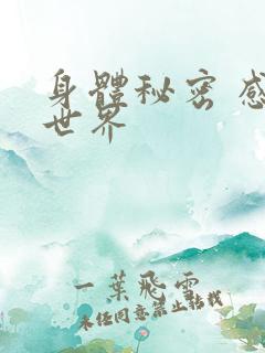 身体秘密 感官世界