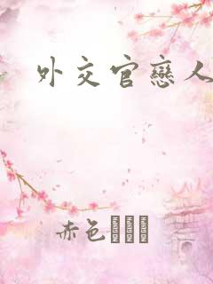 外交官恋人小说