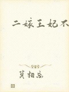 二嫁王妃不好惹