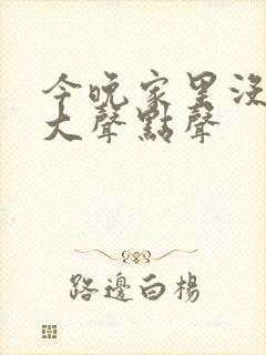 今晚家里没人叫大声点声