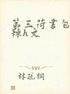 第三荷书包网高辣h文