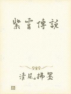紫霄传说