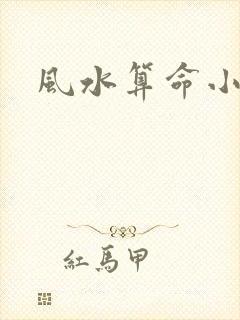 风水算命小说