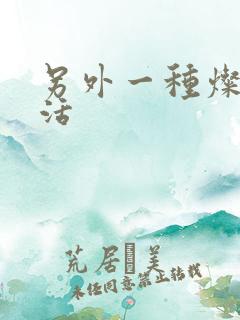 另外一种灿烂生活