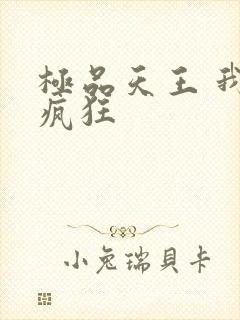 极品天王 我本疯狂