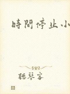 时间停止小说