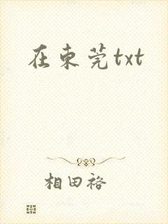 在东莞txt