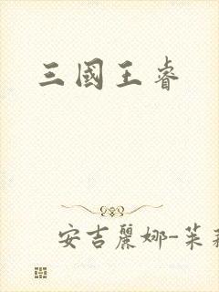 三国王睿