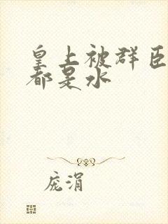 皇上被群臣干的都是水