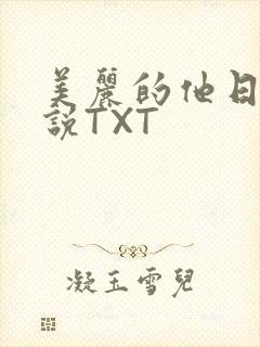 美丽的他日剧小说TXT