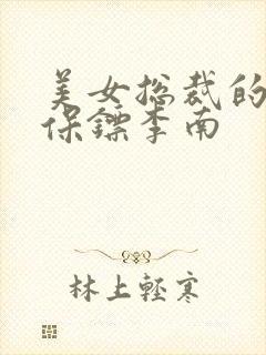 美女总裁的护花保镖李南