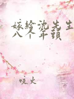 嫁给沈先生的第八个年头