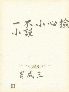 一不小心捡到爱小说