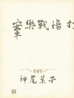 安乐战场 打真军