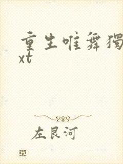 重生唯舞独尊txt