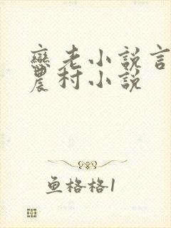 恋老小说言情网农村小说