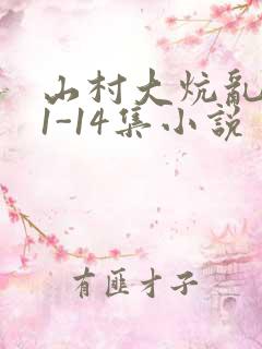 山村大炕乱肉续1-14集小说