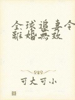 全球追妻令老婆离婚无效