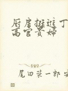 厨房挺进丁字裤高官贵妇