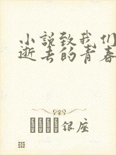 小说致我们终将逝去的青春