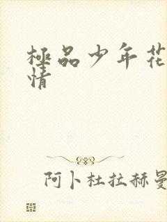 极品少年花都燃情