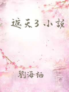 遮天3 小说