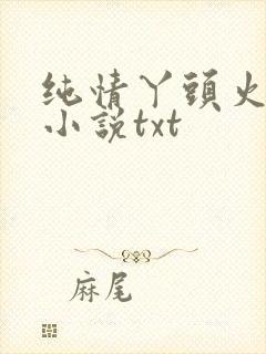 纯情丫头火辣辣小说txt
