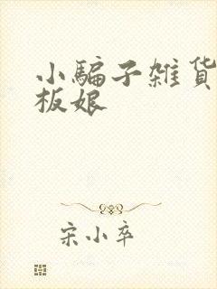 小骗子杂货铺老板娘