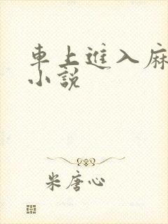 车上进入麻麻的小说