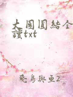 大团圆结全文阅读txt