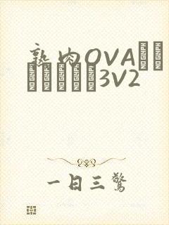 熟肉OVAちゃんはしたい3V2