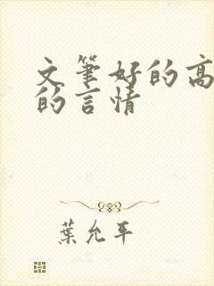 文笔好的高质量的言情