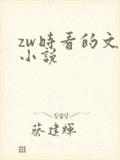 zw时看的文案小说