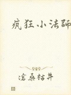 疯狂小法师