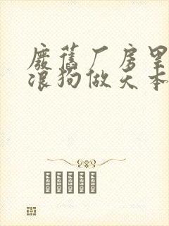 废旧厂房里和流浪狗做天本