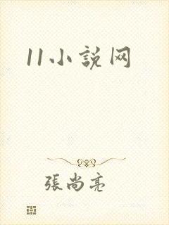 11小说网