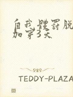 自我体罚脱一次加穿3天